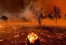 Photo of Урал: Большой пожар в лесу