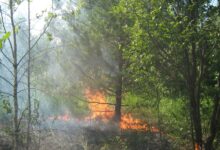 Photo of Урал: Большой пожар в лесу