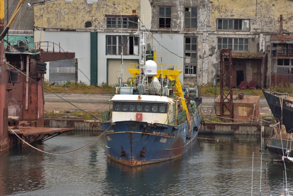 Фото 50 — Сибирь: Введены новые карантинные меры