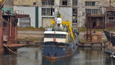 Photo of Сибирь: Введены новые карантинные меры