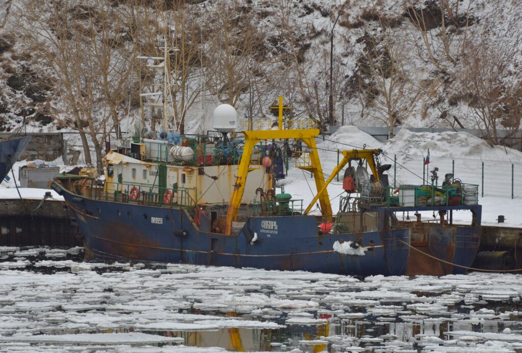 Фото 36 — Сибирь: Введены новые карантинные меры