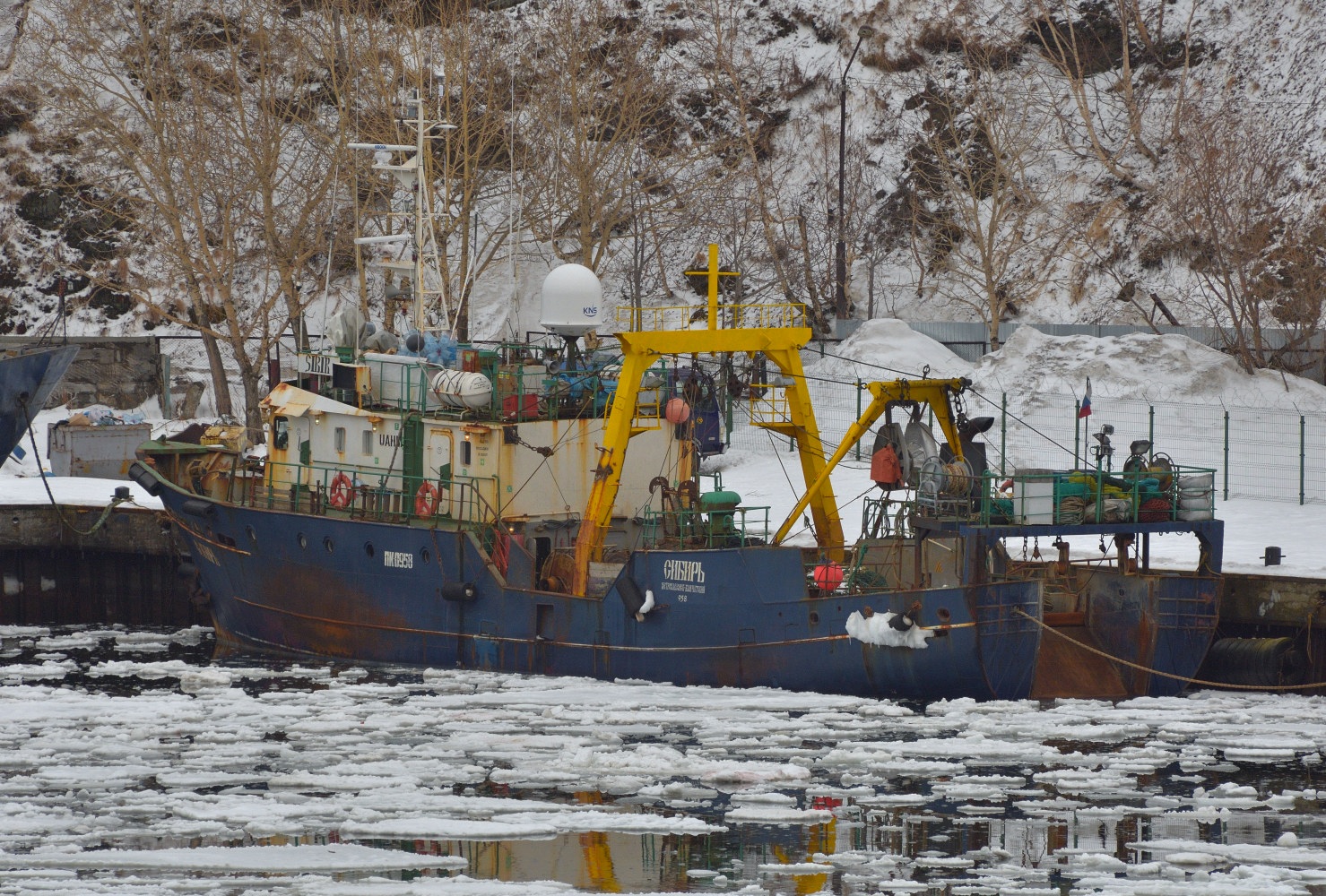 Фото 36 — Сибирь: Введены новые карантинные меры