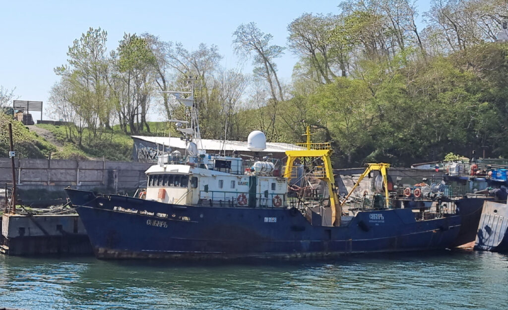 Фото 15 — Сибирь: Введены новые карантинные меры