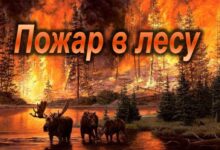 Photo of Урал: Большой пожар в лесу