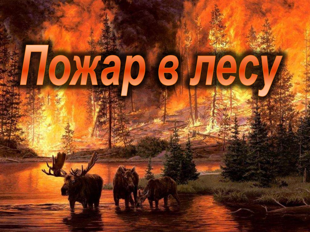 Фото 34 — Урал: Большой пожар в лесу